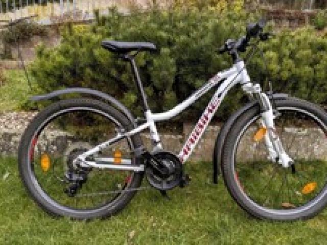 Jugend Mountenbike Haibike 24 " - 1